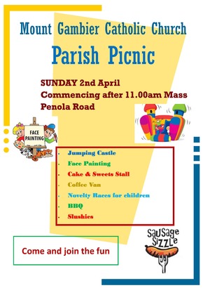 Parish Picnic Flyer 2017.jpg