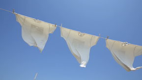 T shirts hanging on the line.jpg