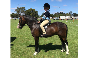 Jessica Oxlade Interschool Dressage Web.jpg