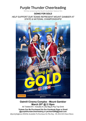 Cheerleading movie fundraiser Brochure 2018.jpg