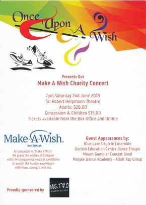 Make A Wish Flyer.jpg