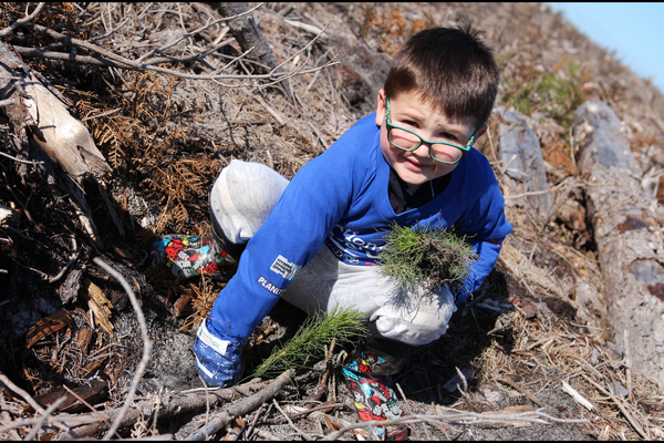 Ollie Hardache Tree Day Image.jpg