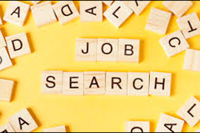 job search.jpg