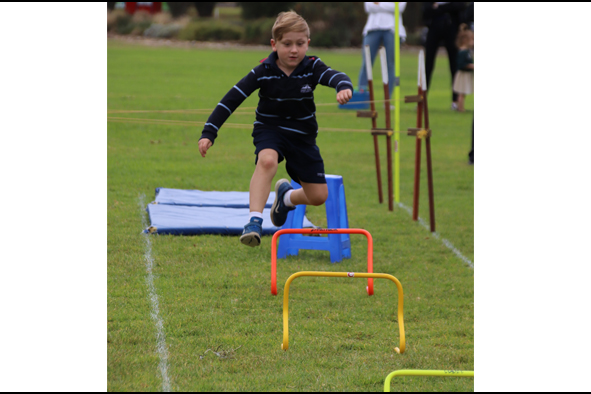 Hurdles 1.jpg