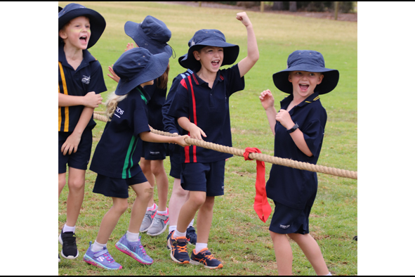 tugofwar.jpg