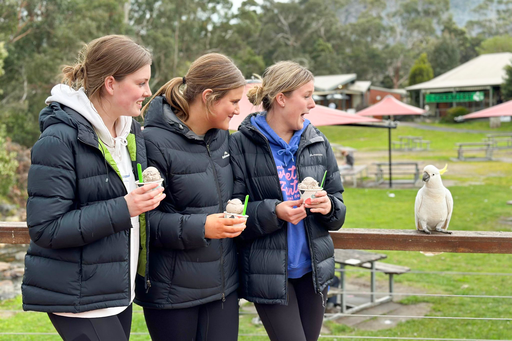 Yr11 Retreat 5.jpg
